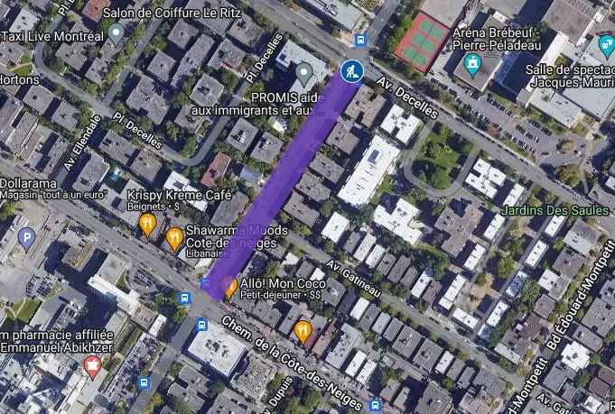 Chantier CSEM Chemin de la Côte-Sainte-Catherine & Avenue Decelles