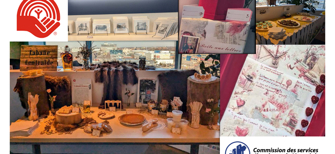 CSEM_Centraide_internet