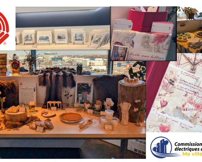 CSEM_Centraide_internet