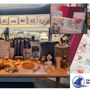 CSEM_Centraide_internet